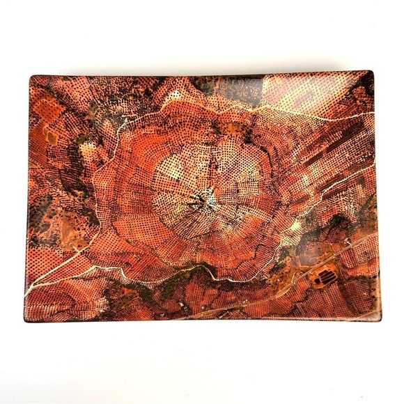 Edward Burtynsky Limited Edition Plate  Olive Groves Jaen Spain MOCCA Award 2011 - Picture 1 of 12